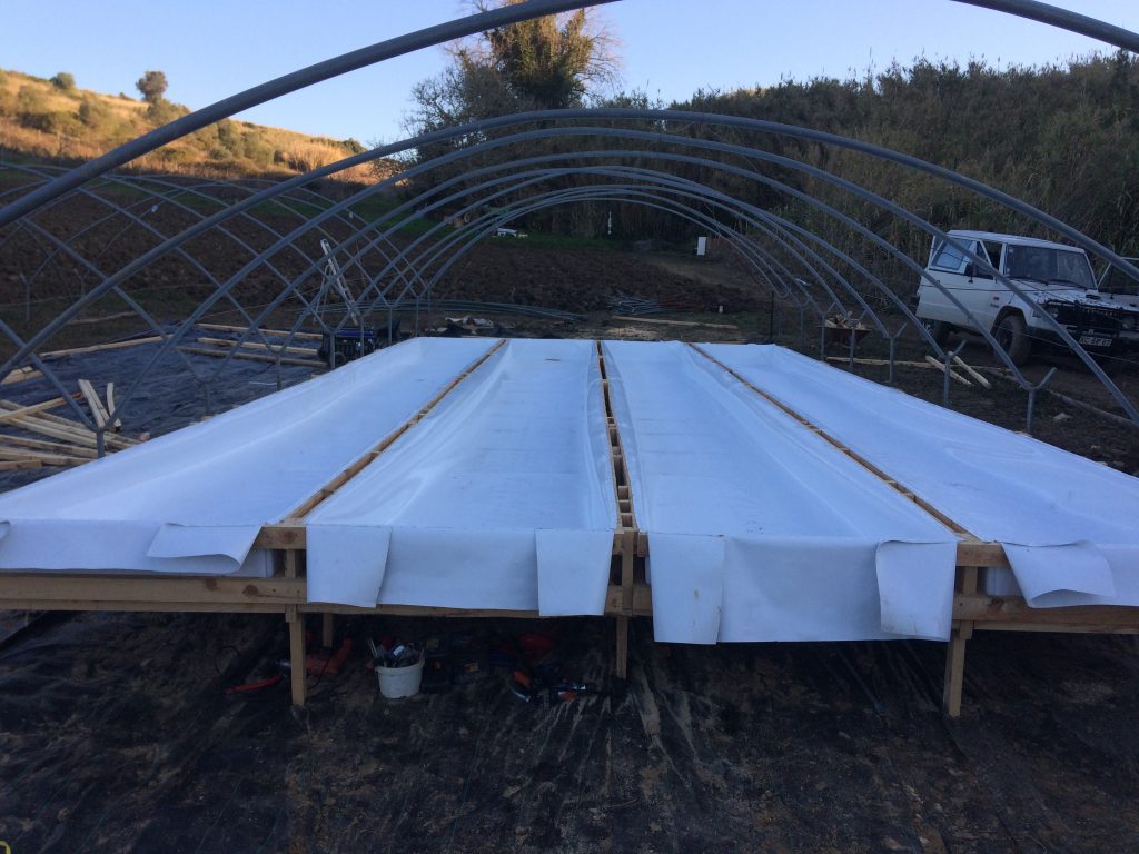 Aquaponic Liner