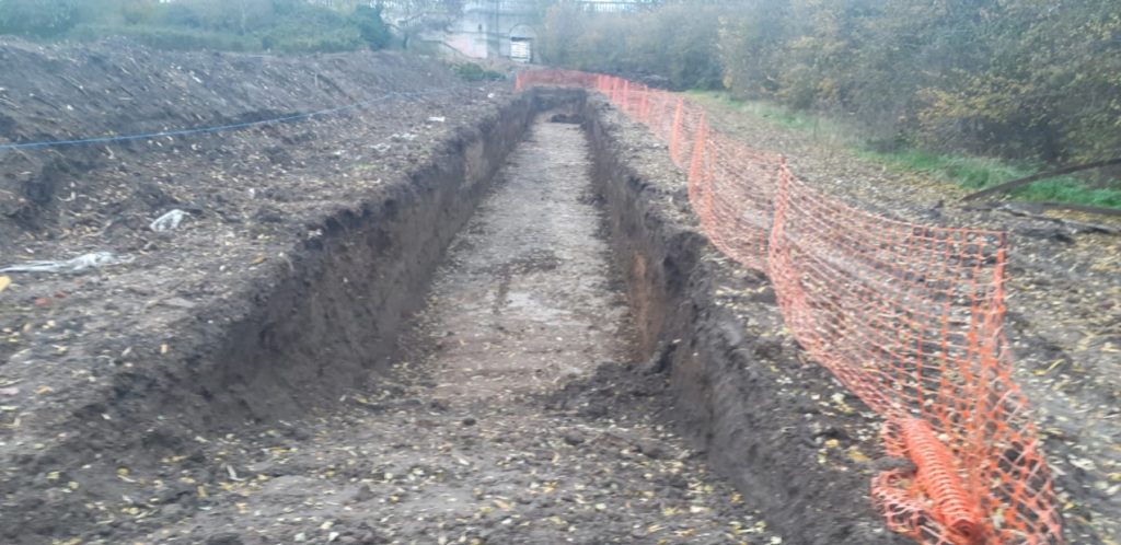 Japanese Knotweed Burial site