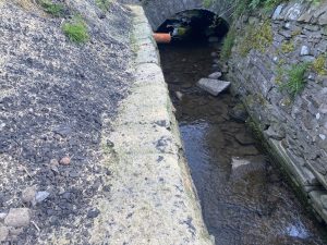 stream erosion repair 2